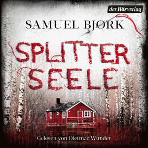 Splitterseele Hörbuch