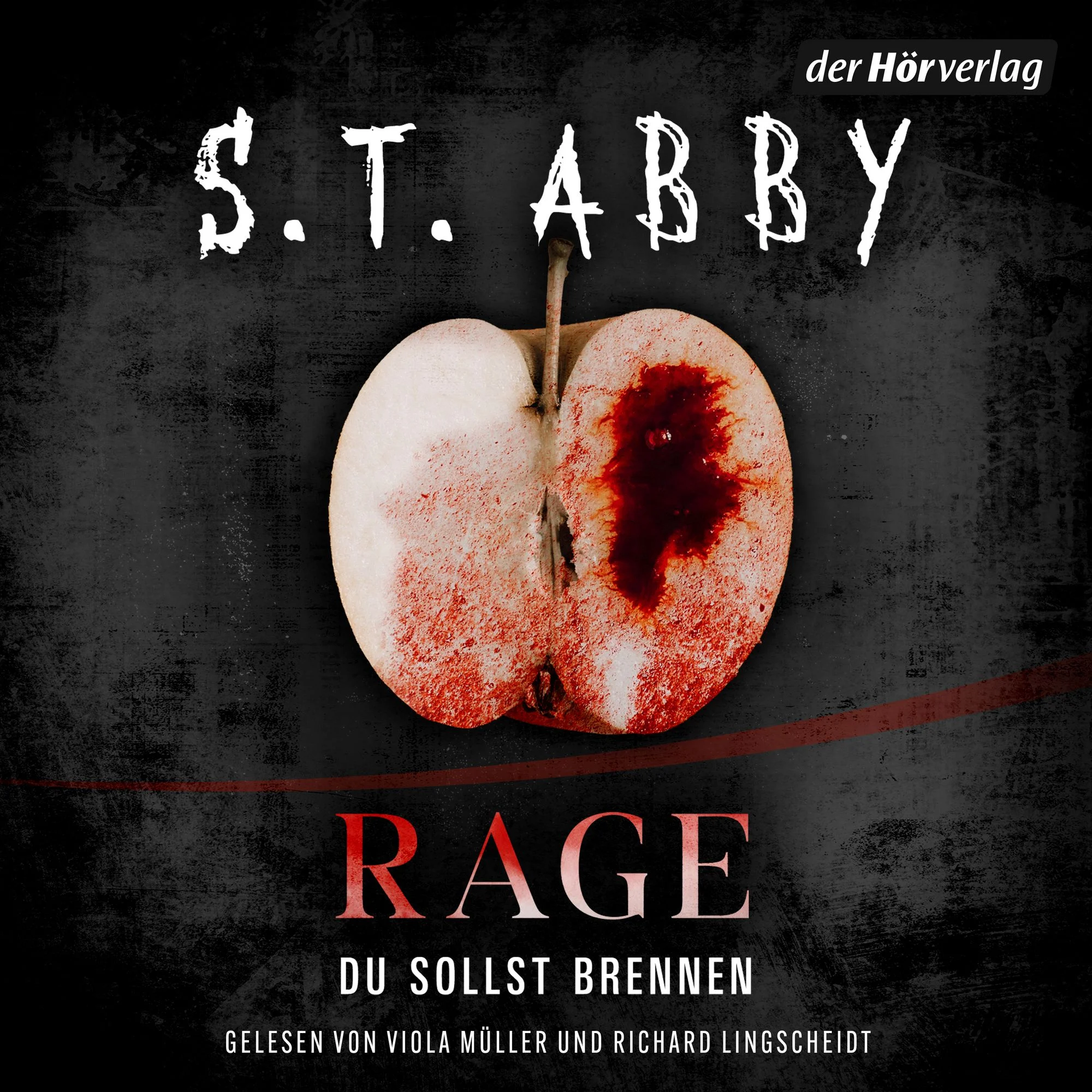 Rage – Du sollst brennen Hörbuch