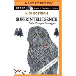 Superintelligence Hörbuch
